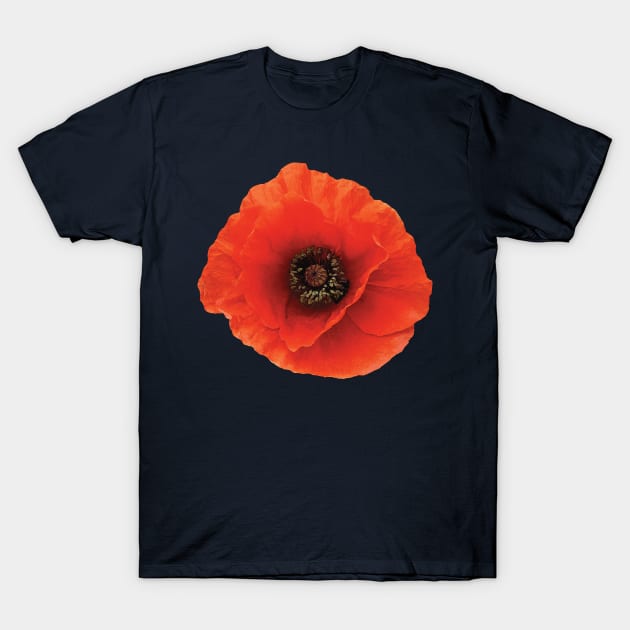 Red Poppy T-Shirt by SusanSavad